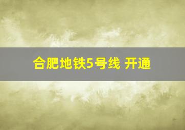 合肥地铁5号线 开通